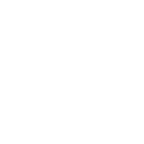 Scolopax